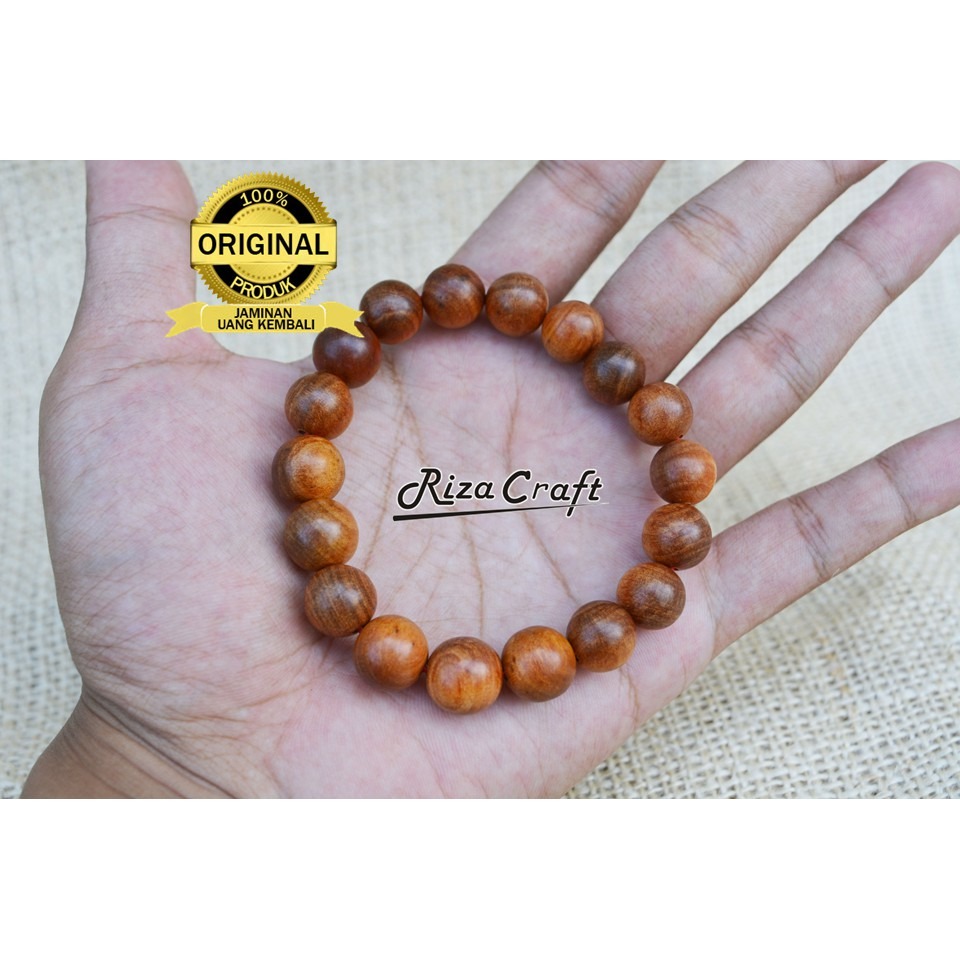 Gelang Raja Kayu Merah