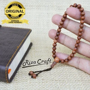Gelang Stigi Laut Asli